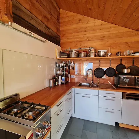 Biene - Swiss Alp With Sauna And Jacuzzi